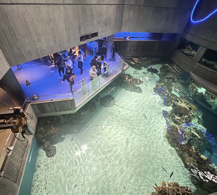 national-aquarium-photo